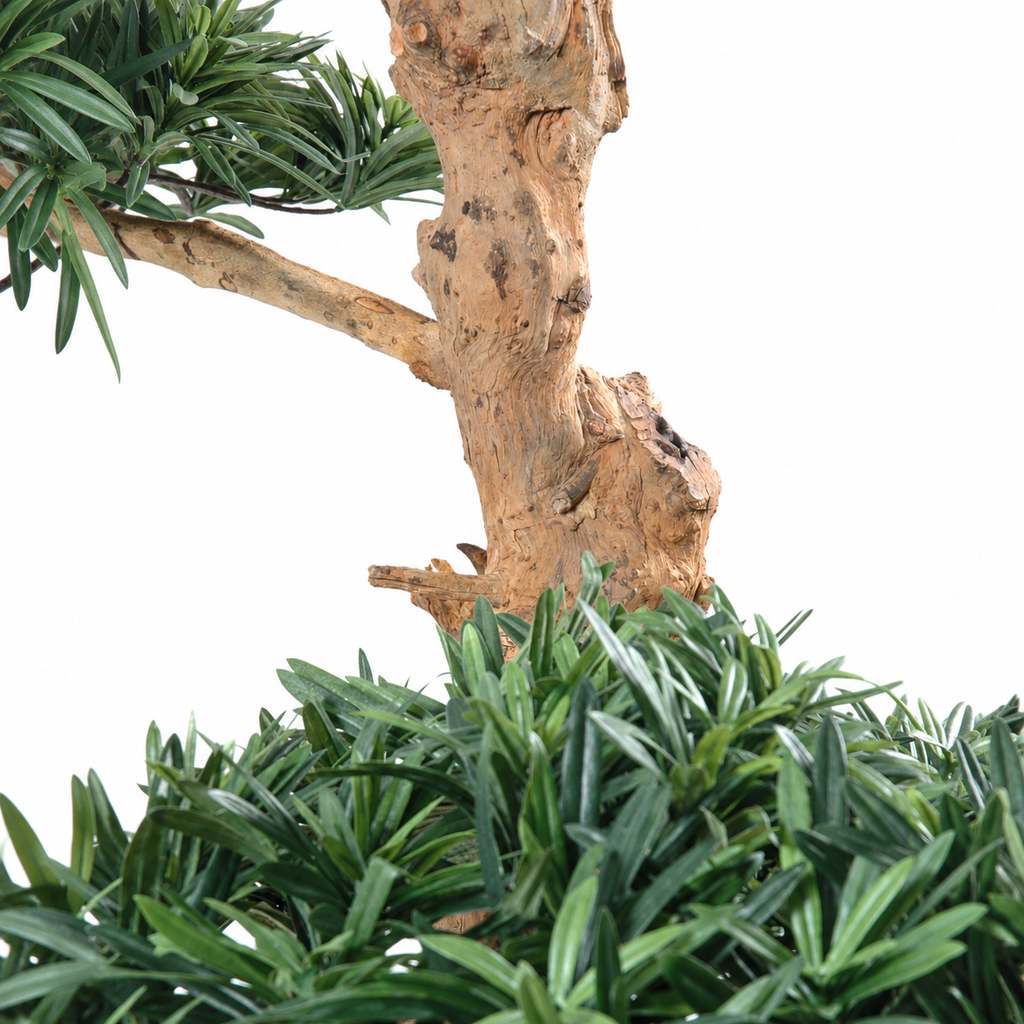 Bonsaï Podocarpus Artificiel Deluxe 180 cm | Belle Verdure